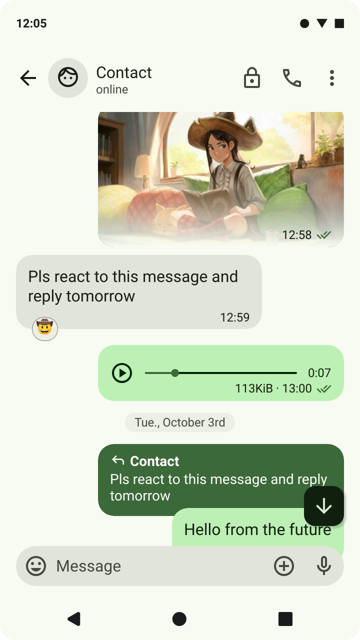 Chat screen with different types of message bubbles